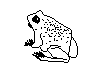 logoanimation